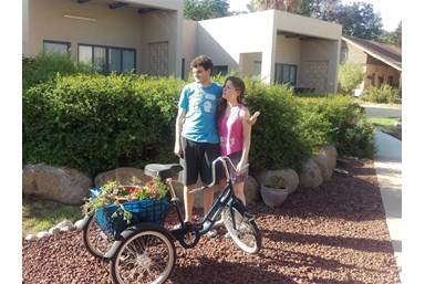 אביב בגליל - החצר והסביבה