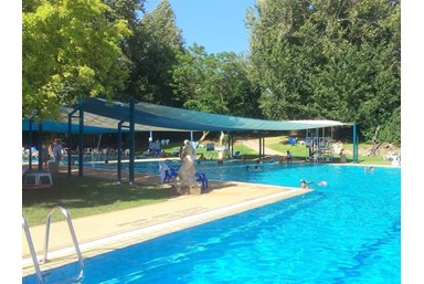 אביב בגליל - החצר והסביבה