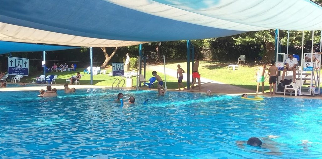 אביב בגליל חצר וסביבה (11).jpg