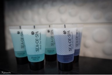 אביב בגליל - דירת אירוח 