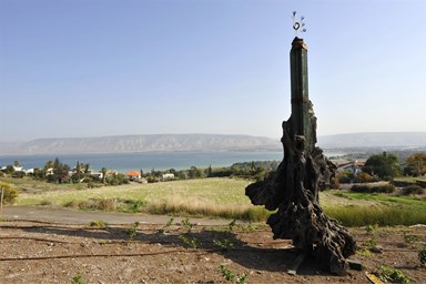 טל בכנרת סוויטות יוקרה - הבריכה והנוף