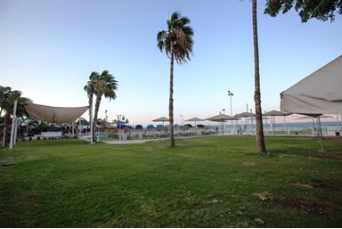 סאות' ביץ' כנרת