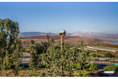 הבית הכפרי של דרורי - החצר הנוף והג'קוזי ספא