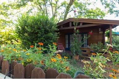 לבנדרין - החצר והסביבה 