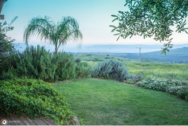 אניצ'ה - סוויטות נופש - הבקתות 