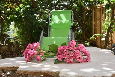 פינת השקד - הסוויטה המשפחתית