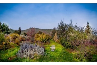 בית בטבע - המתחם הכפרי