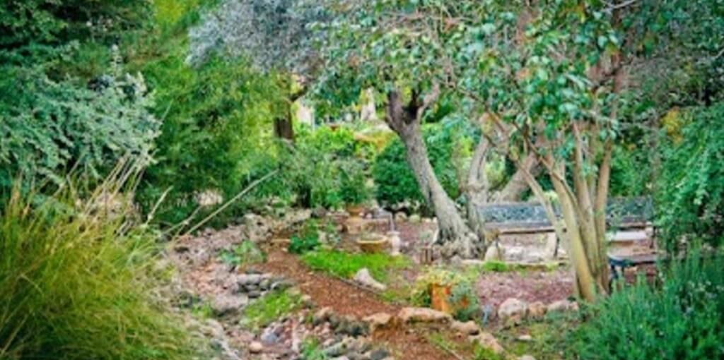 בית בטבע החצר והסביבה (5).JPG