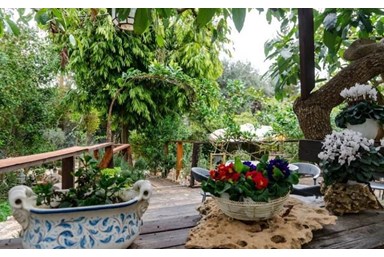 בית בטבע - המתחם הכפרי