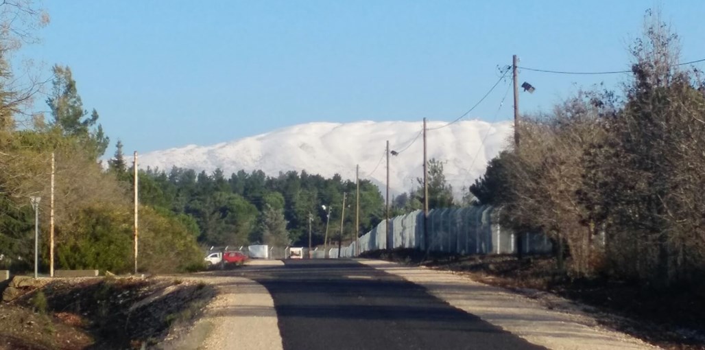 דליה ברמה חוץ ואווירה 7120 (2).jpg