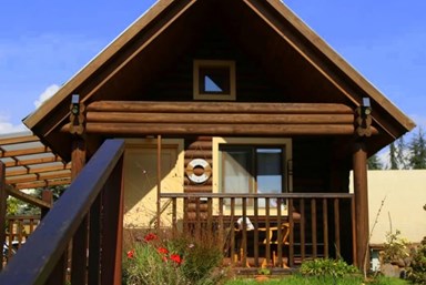 דליה ברמה - החצר והסביבה