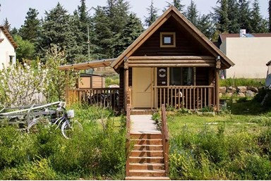 דליה ברמה - החצר והסביבה