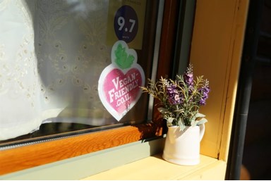 דליה ברמה - החצר והסביבה