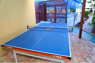 יחידות סגולה - החצר והבריכה