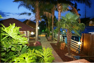 יחידות סגולה