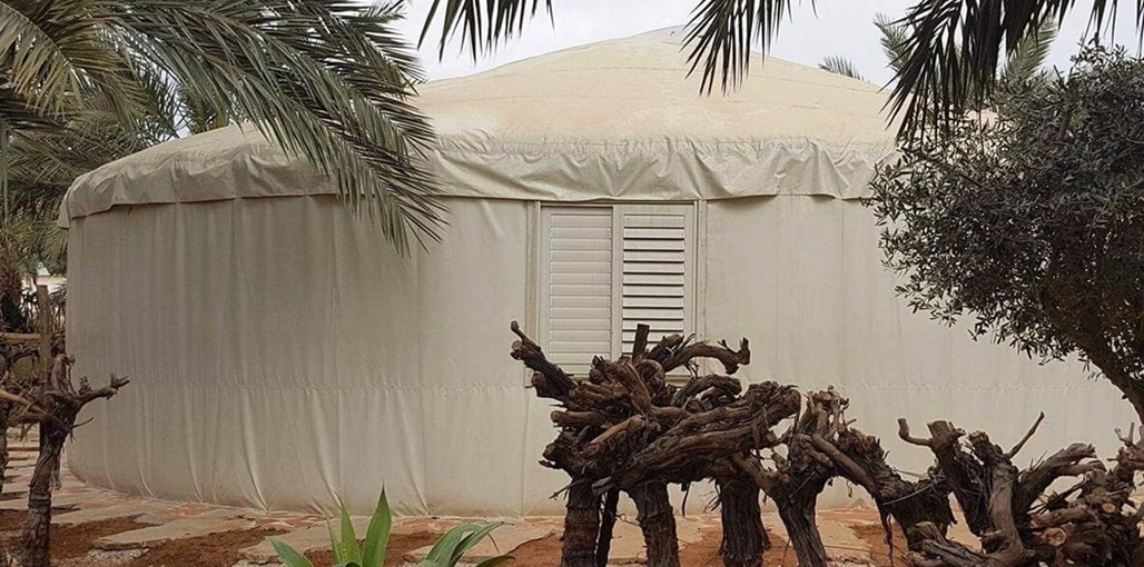 שירת התמר שירת התמר (7).jpg