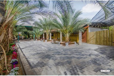 אל פאטיו אירוח במדבר - החצר הסביבה והבריכה