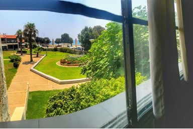 סמדר על הים