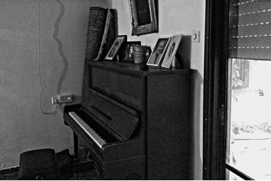 סמדר על הים