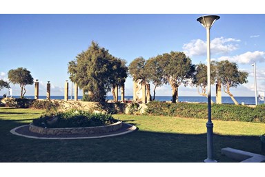 סמדר על הים