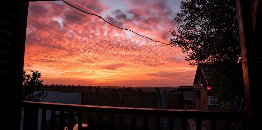 אחוזת בילו מתחם (41).jpg