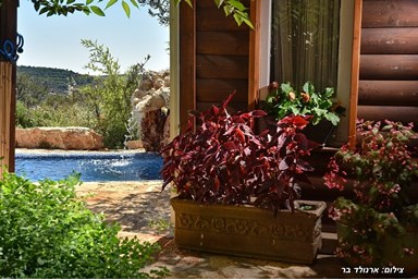 כליל הנוף - בקתת דפנה