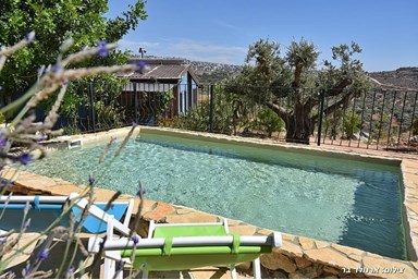 כליל הנוף - הבית של יובל