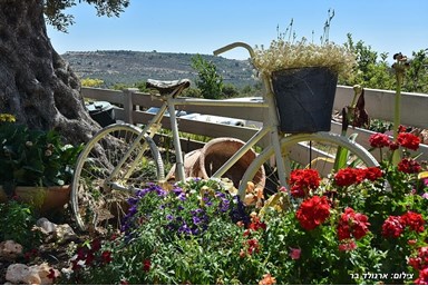 כליל הנוף - בריכה ונוף