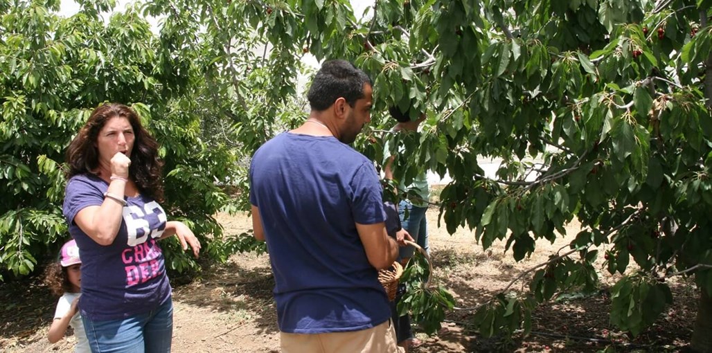 משק לוי - קמפינג שעל IMG_9954.JPG