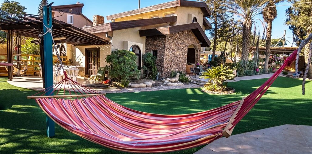 ציפור מדבר ציפור מדבר (3).jpg