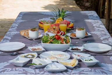 בקתות שוהם - הבריכה והחצר