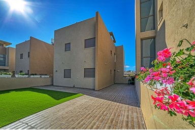 אחוזת המדבר - מתחמי החוץ והבריכות