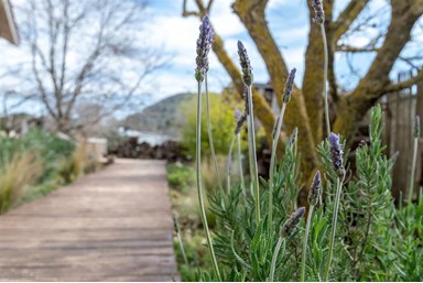 צימר ידיים מרפאות
