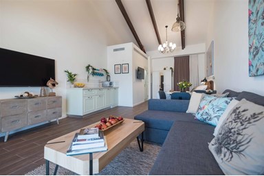 אוליב בגלבוע - סופריור נוף