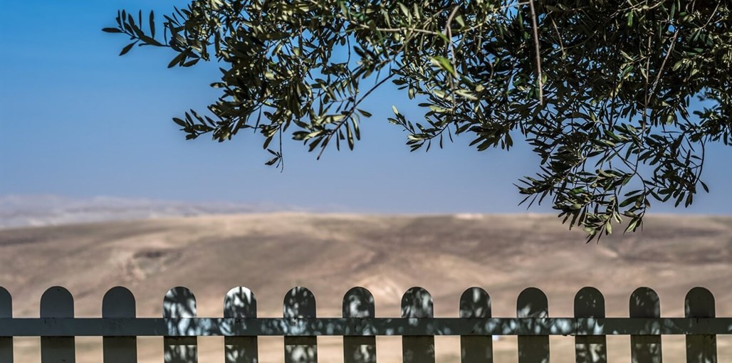 עדי במדבר חוץ (11).jpg