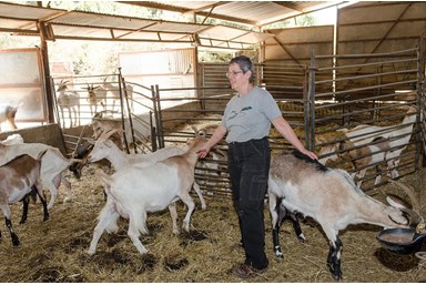 קמפינג משק חפר באבירים