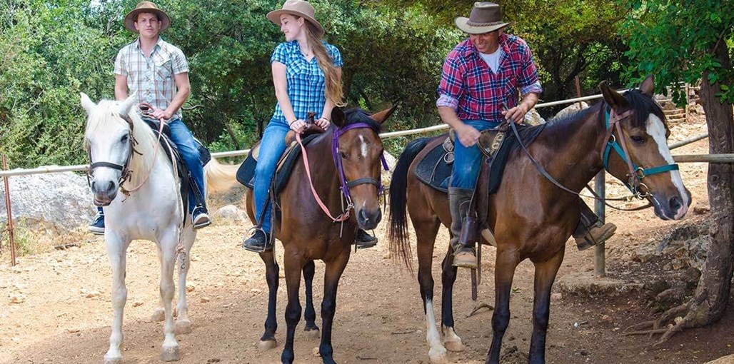 קמפינג משק חפר באבירים סוסים (3).jpg