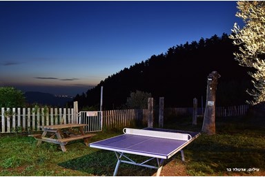 נפלאות הגליל - הבריכה והחצר