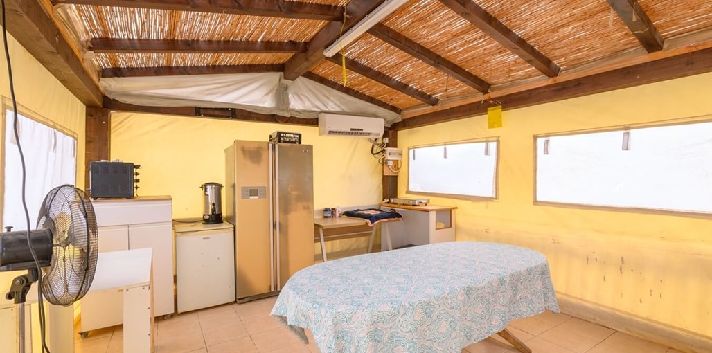 בינות תמרים TMR_6148_תומר_שלנגר_צלם.jpg