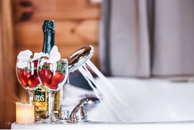 פנינת הארבל בכנרת