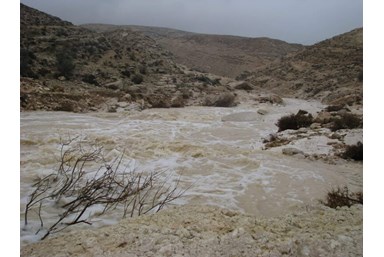 שלווה דרומית ירוחם - הסביבה