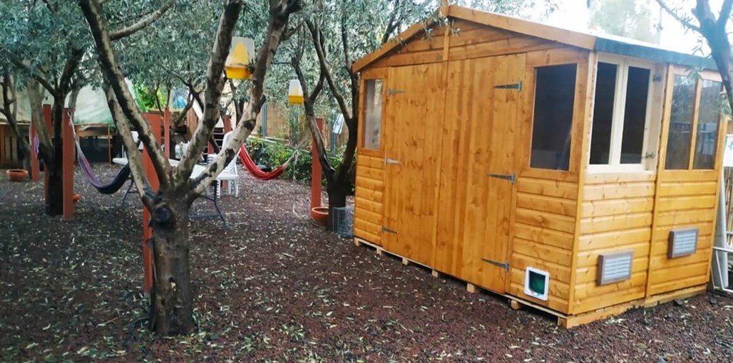 אורחן המצוק WhatsApp Image 2021-03-10 at 12.58.11.jpeg