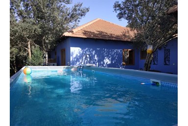 אורחן המצוק - החצר