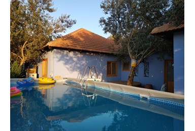 אורחן המצוק