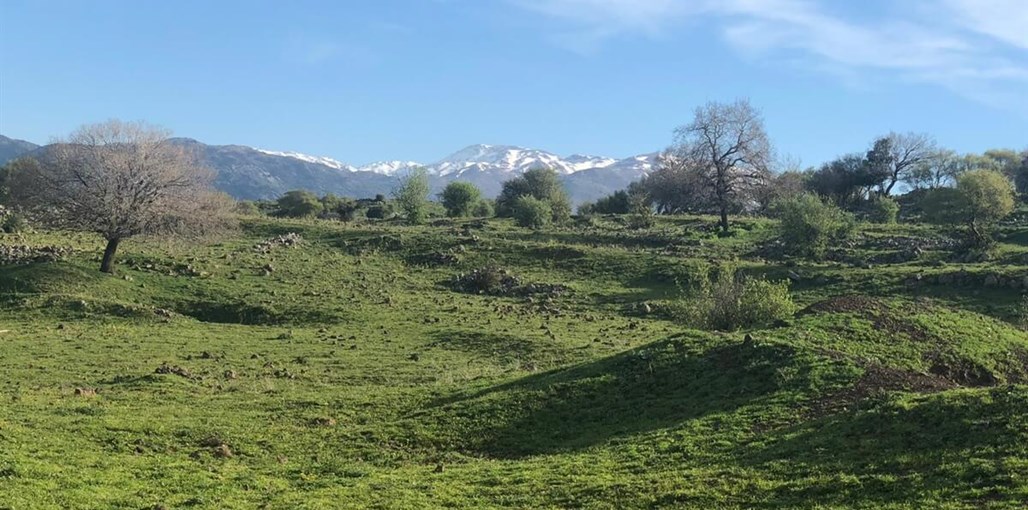 למיטה הוטל - Lamita Hotel WhatsApp Image 2019-03-20 at 10.42.25 (1).jpeg