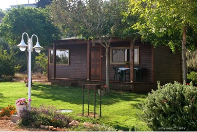 פנינה בכרם - הבריכה והחצר