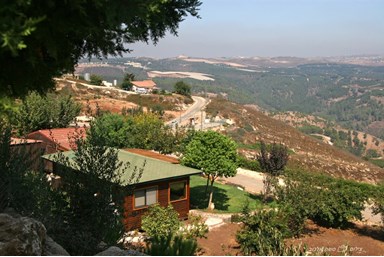 פנינה בכרם - הבריכה והחצר