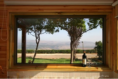 פנינה בכרם - הבריכה והחצר