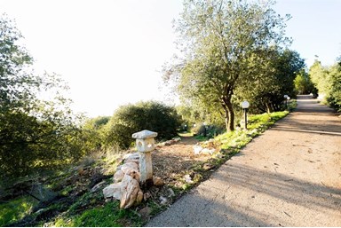 טאיקו - אירוח יפני