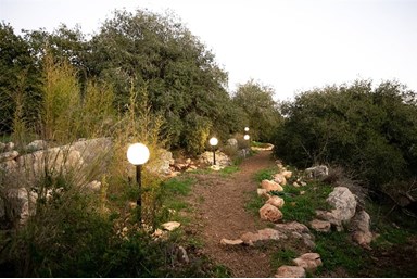 טאיקו - אירוח יפני